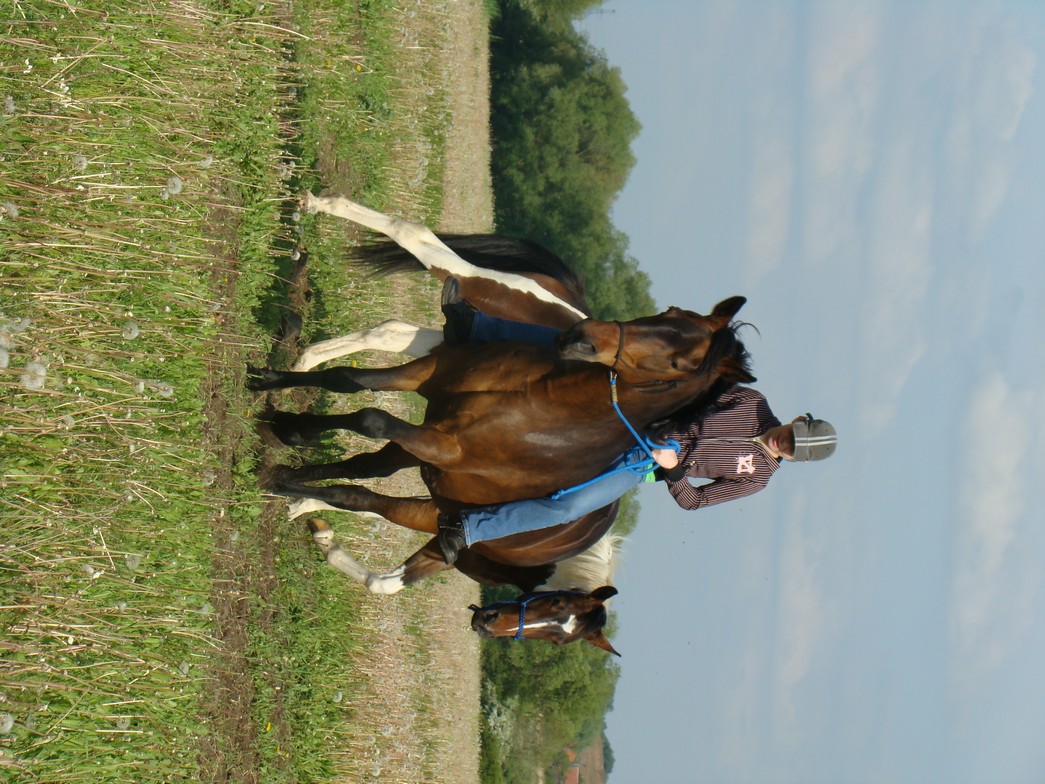 DSC02170.JPG