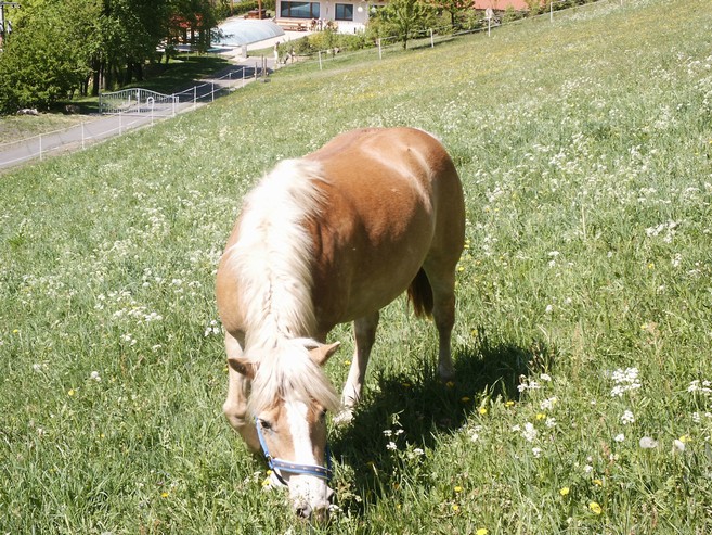 PICT5751.JPG