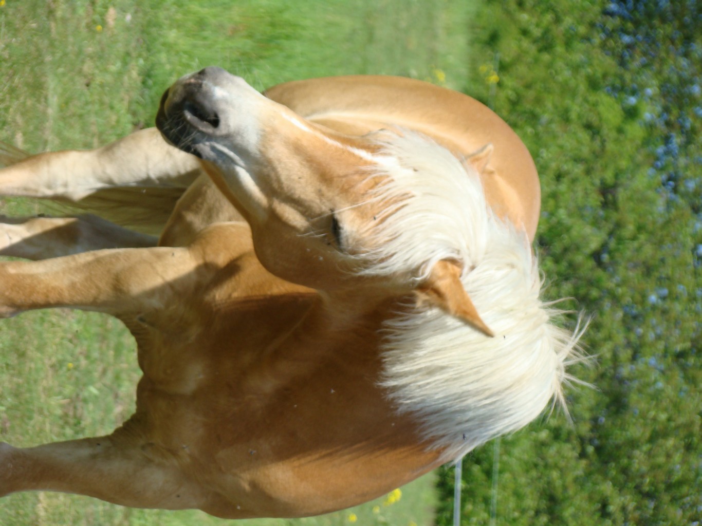 DSC01995.JPG