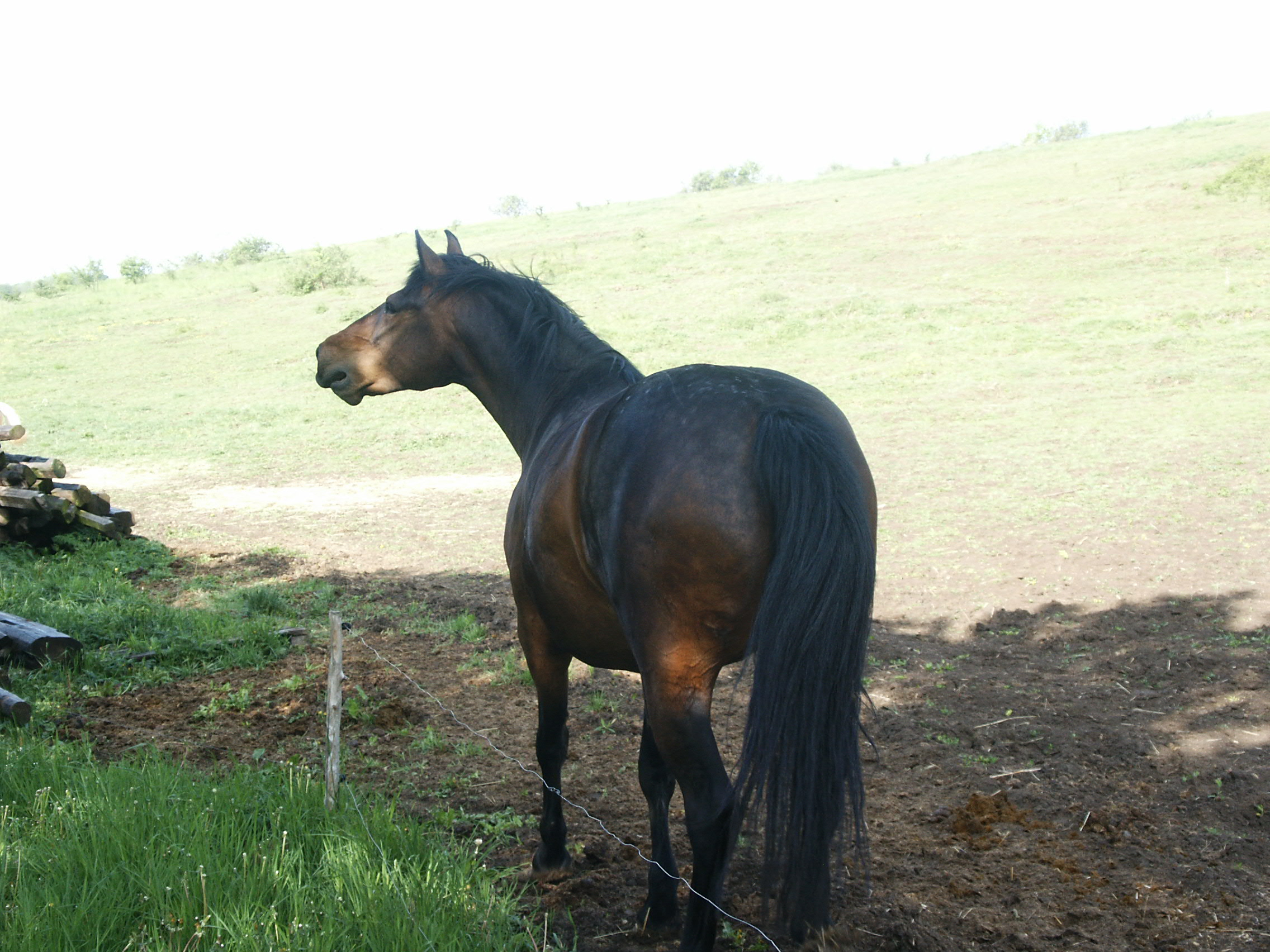 PICT5934.JPG