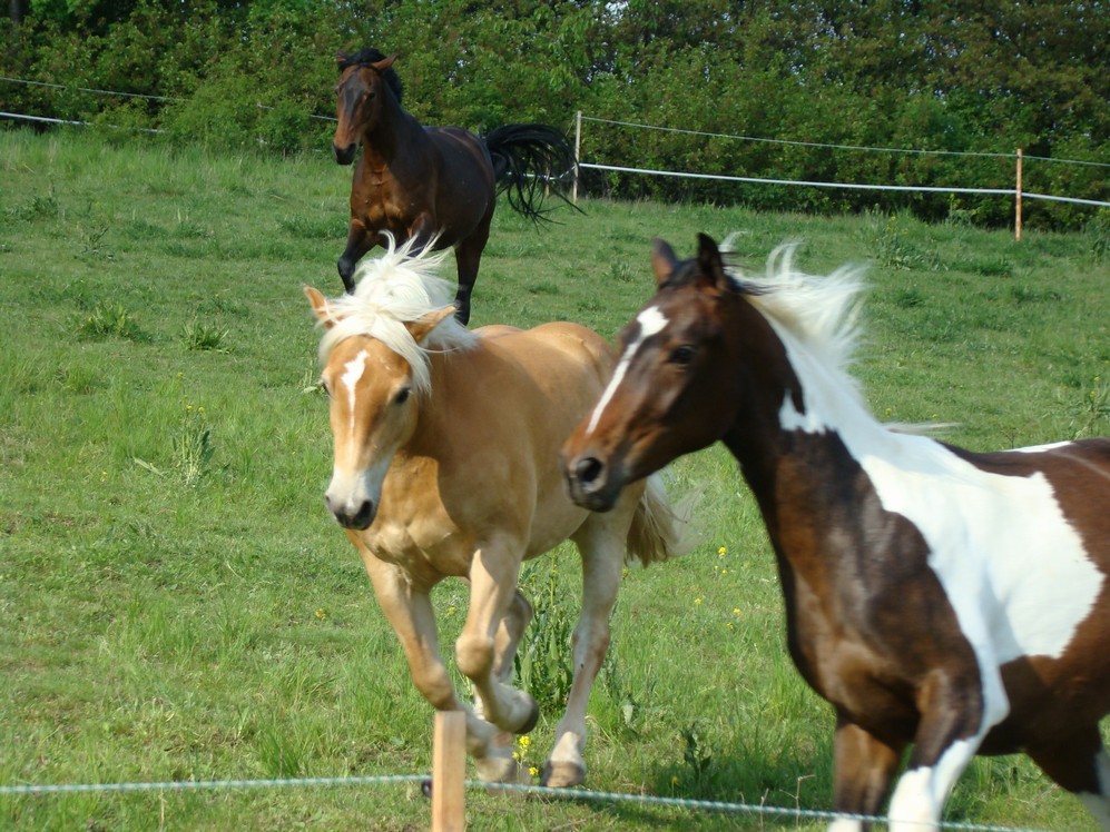 DSC00845.JPG