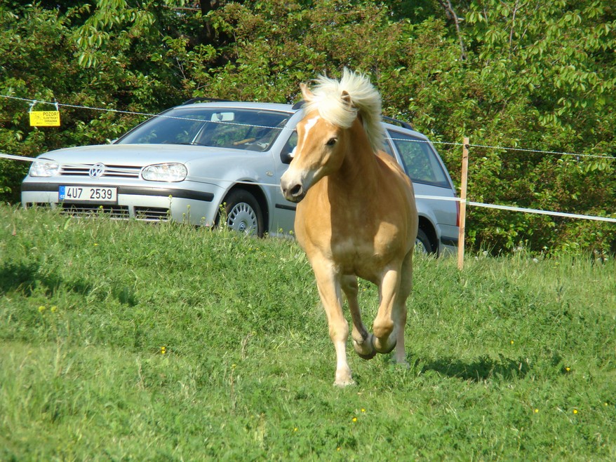 DSC00856.JPG